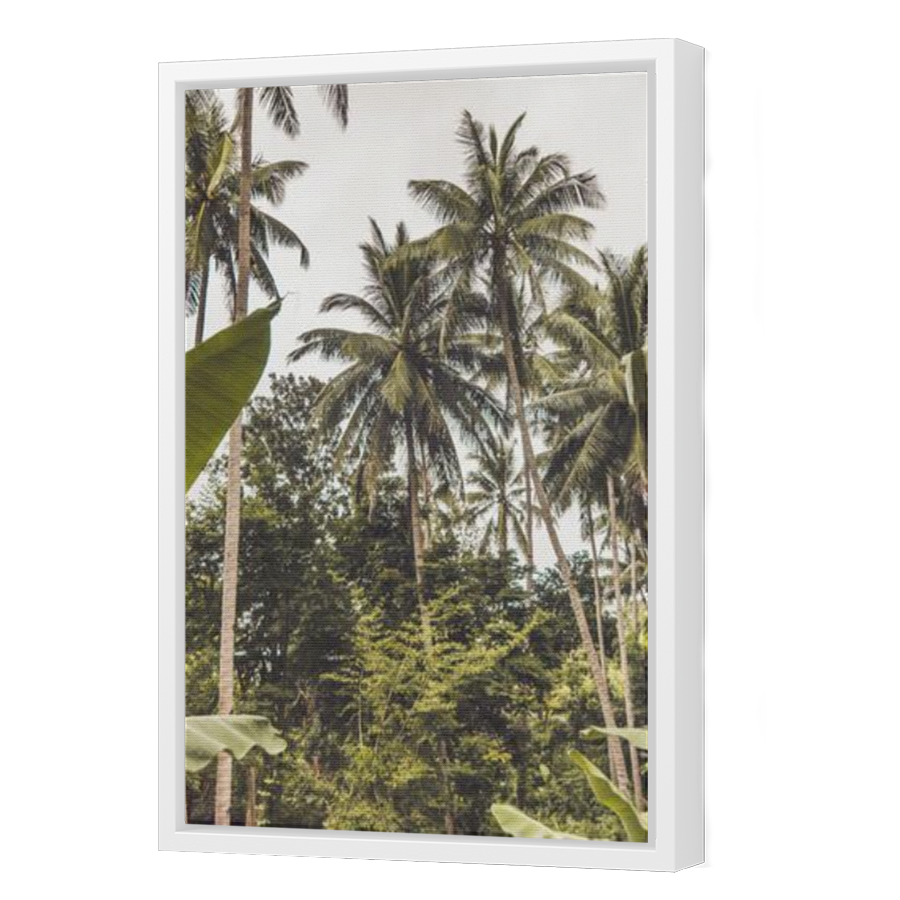 Thumbnail for Canvas - White Floating Frame