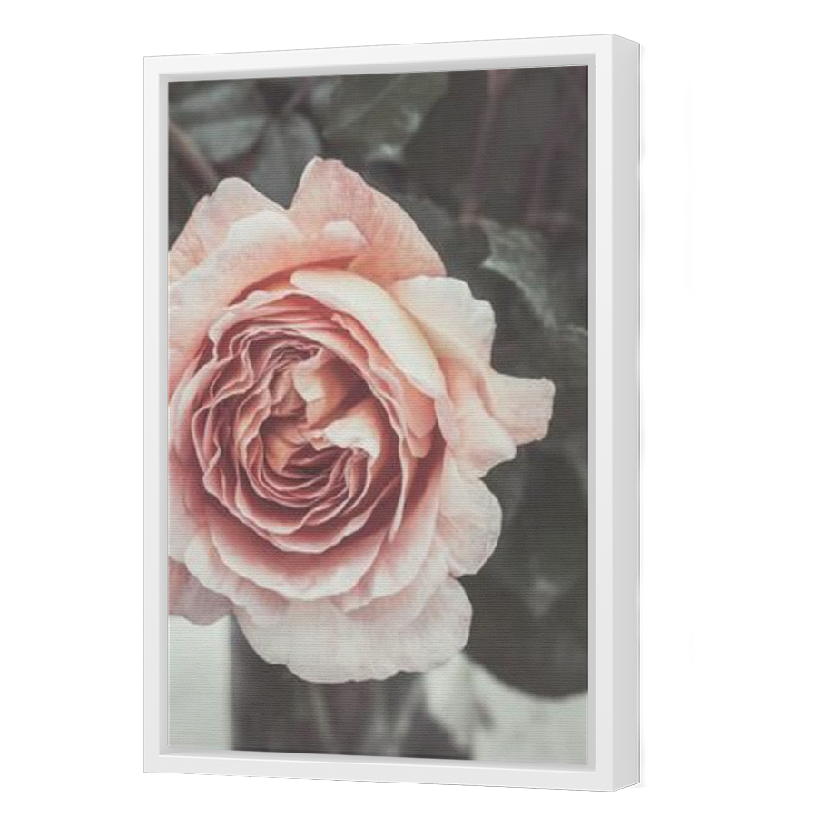 Thumbnail for Canvas - White Floating Frame