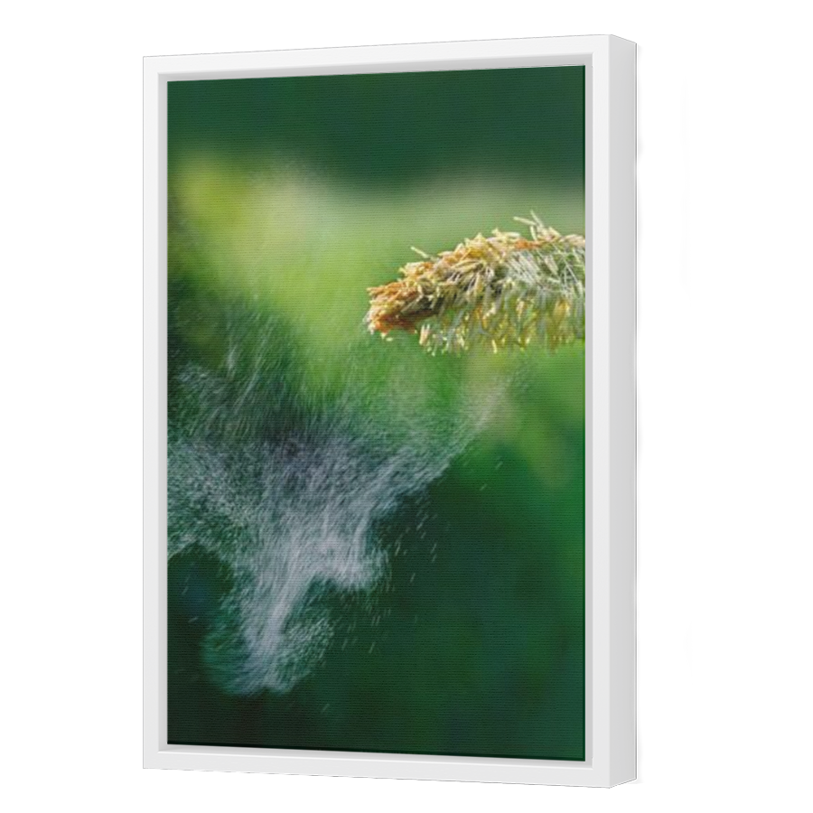 Thumbnail for Canvas - White Floating Frame