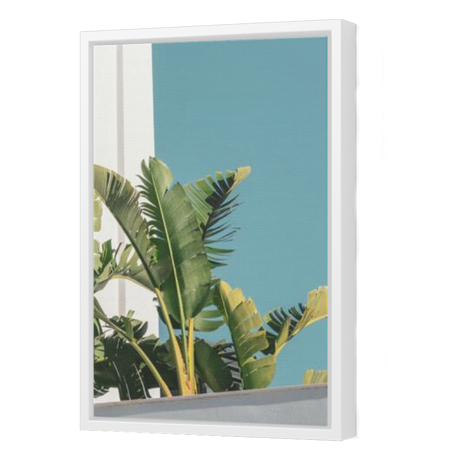 Thumbnail for Canvas - White Floating Frame
