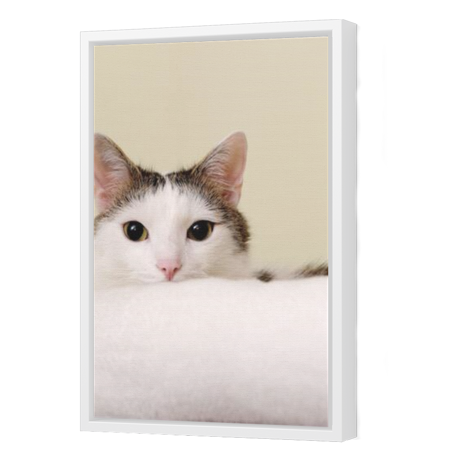 Thumbnail for Canvas - White Floating Frame