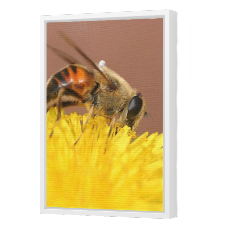 Thumbnail for Canvas - White Floating Frame