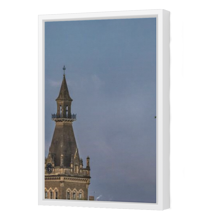 Thumbnail for Canvas - White Floating Frame
