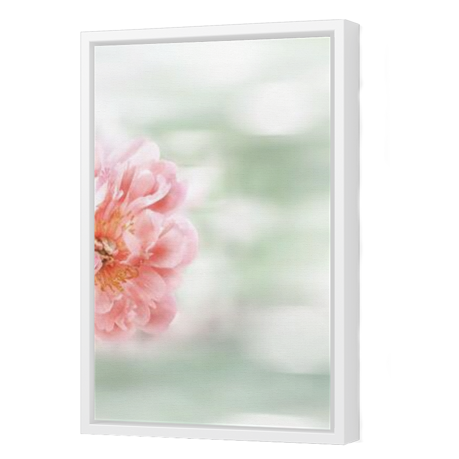 Thumbnail for Canvas - White Floating Frame
