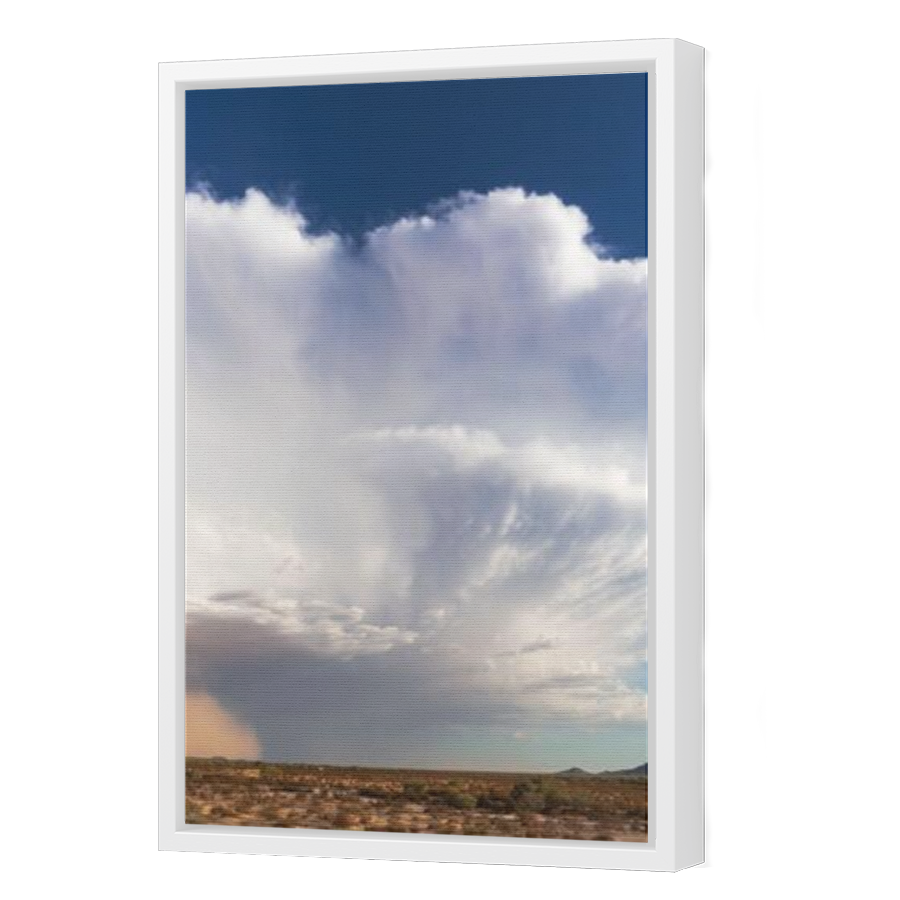 Thumbnail for Canvas - White Floating Frame