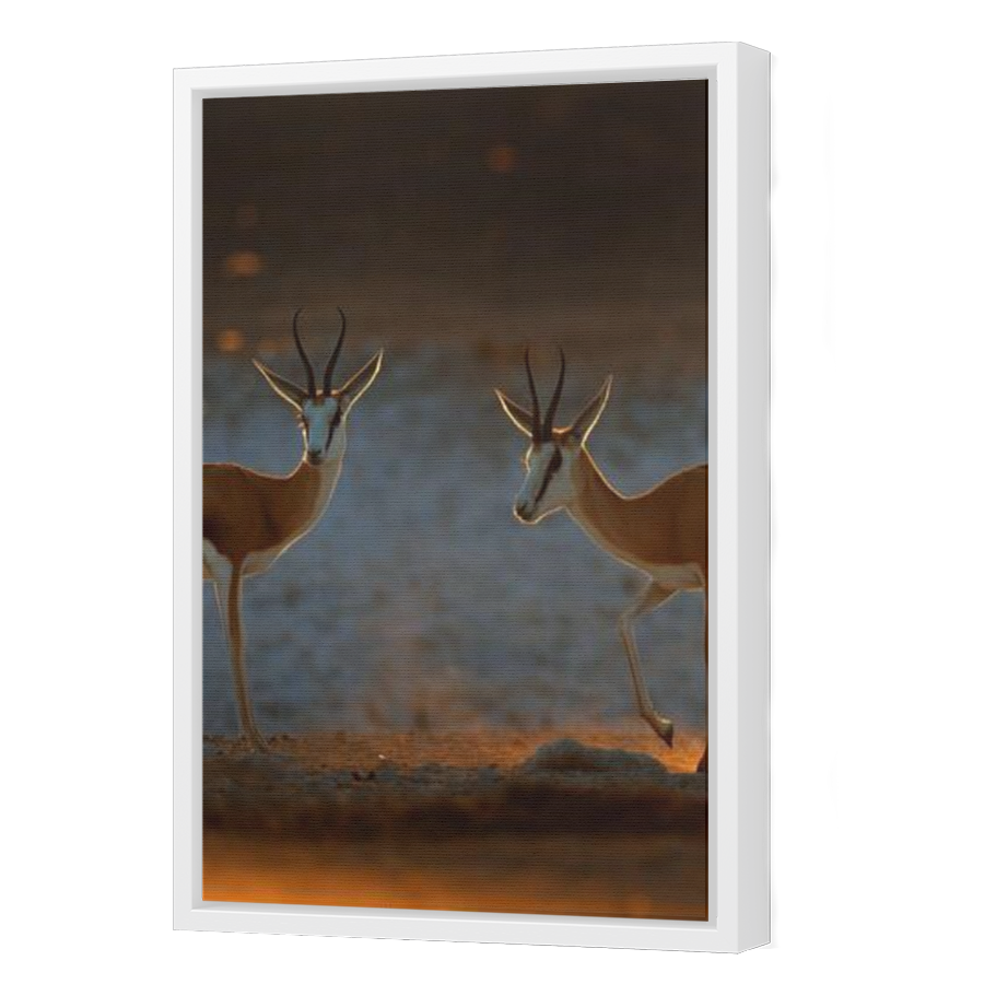 Thumbnail for Canvas - White Floating Frame