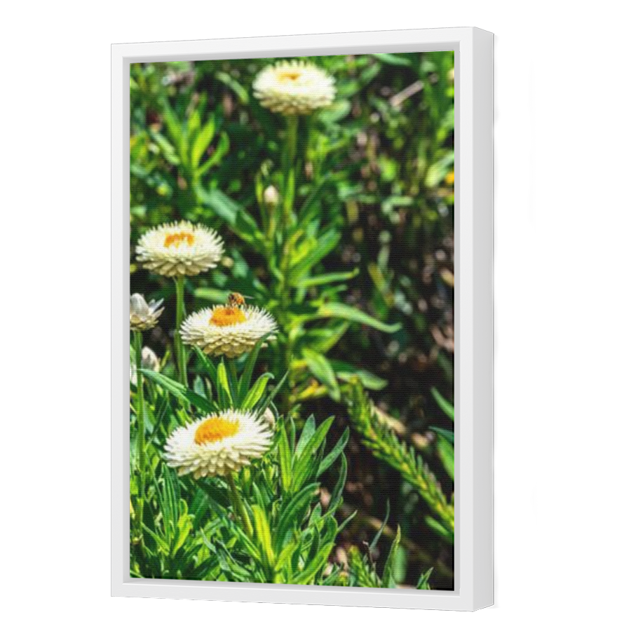 Thumbnail for Canvas - White Floating Frame