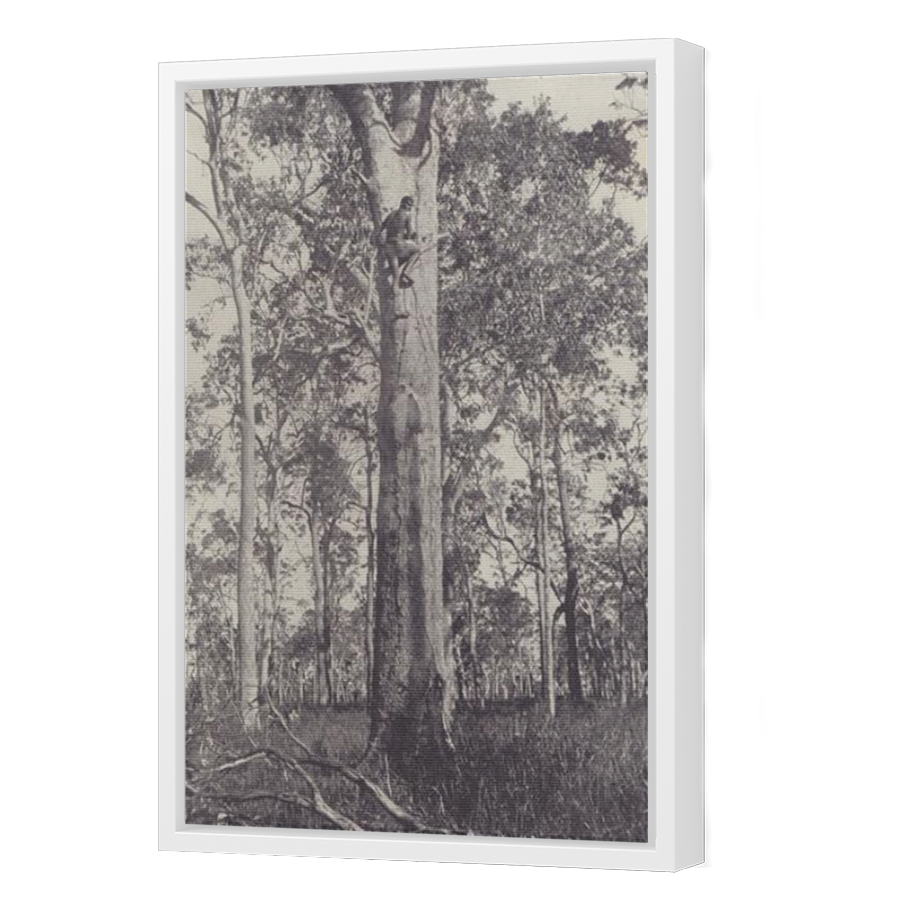 Thumbnail for Canvas - White Floating Frame
