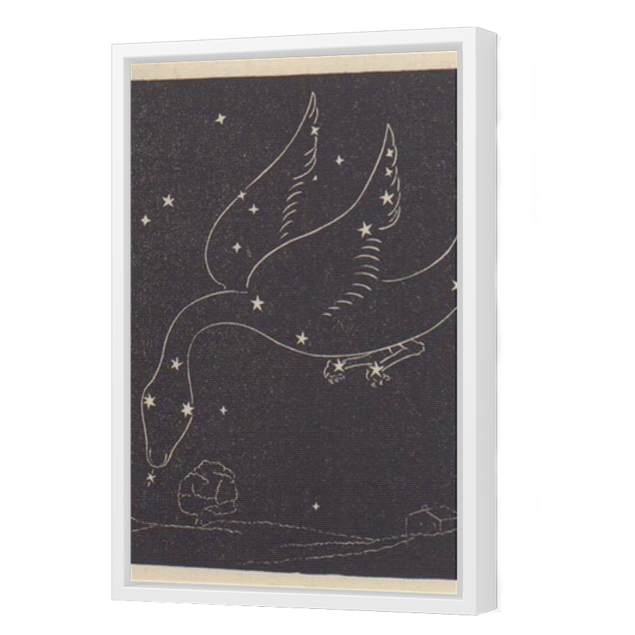 Thumbnail for Canvas - White Floating Frame