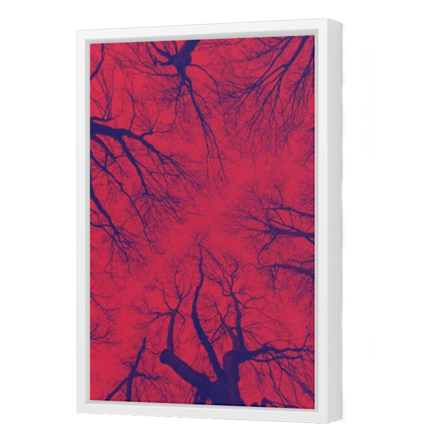 Thumbnail for Canvas - White Floating Frame