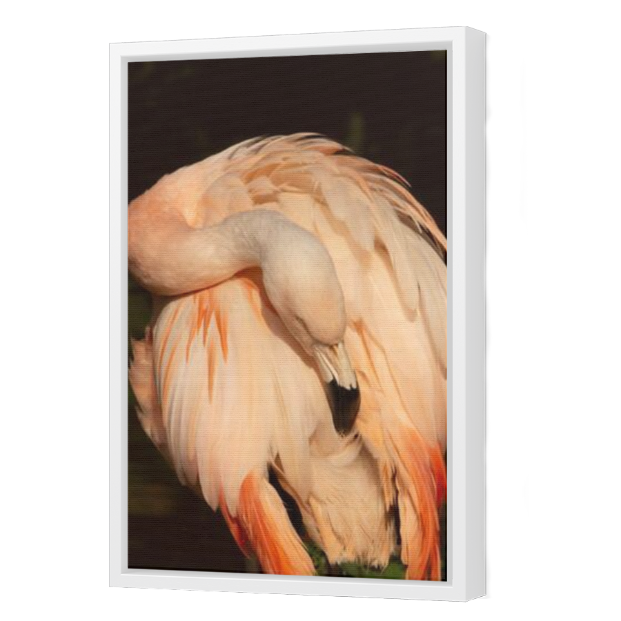 Thumbnail for Canvas - White Floating Frame