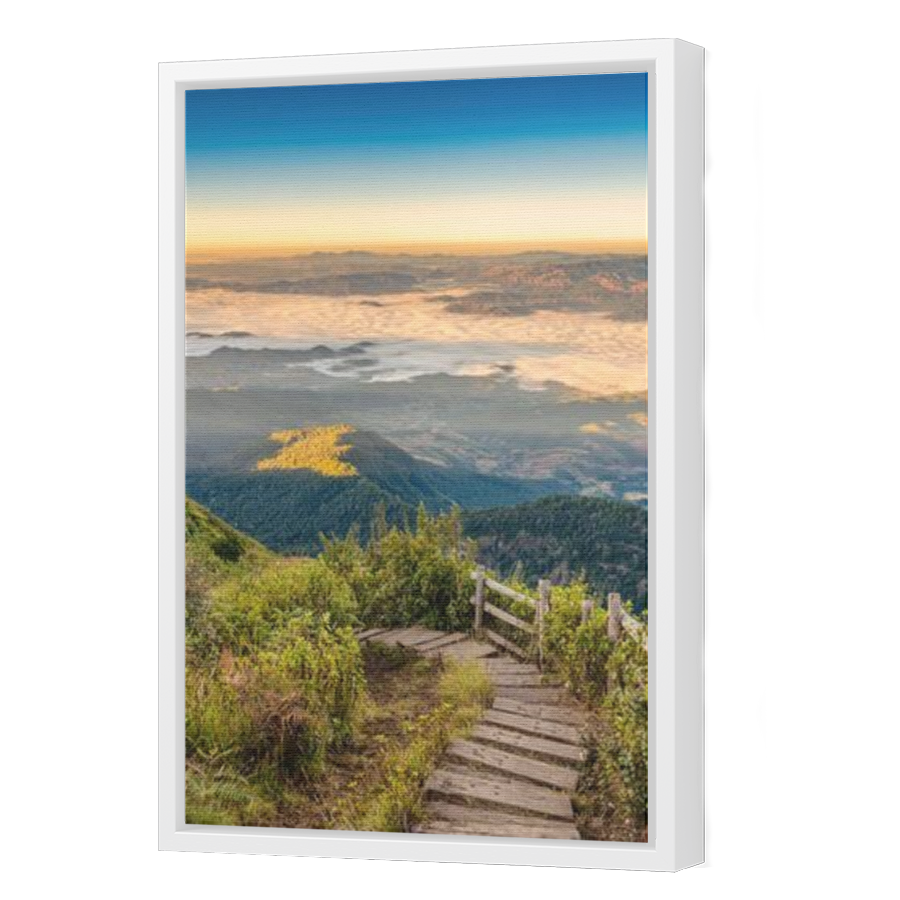 Thumbnail for Canvas - White Floating Frame
