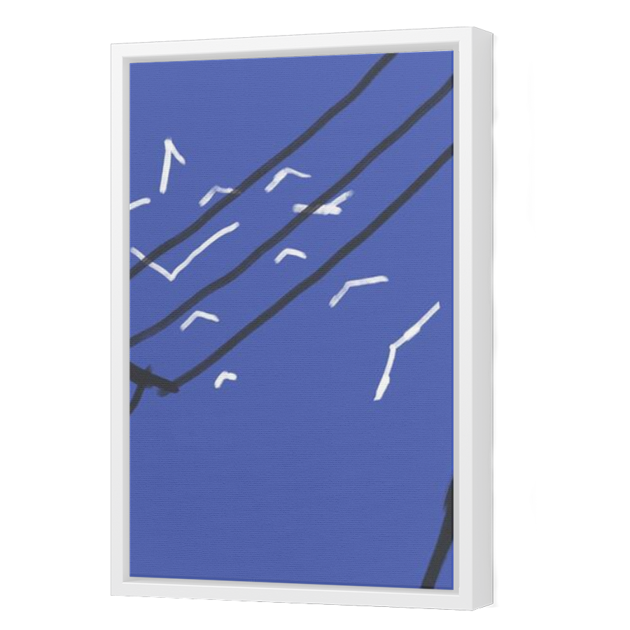Thumbnail for Canvas - White Floating Frame