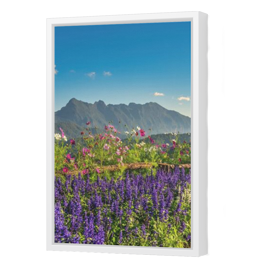 Thumbnail for Canvas - White Floating Frame