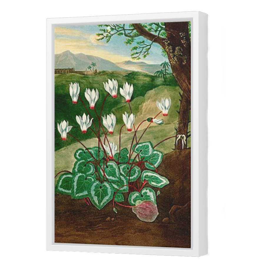 Thumbnail for Canvas - White Floating Frame
