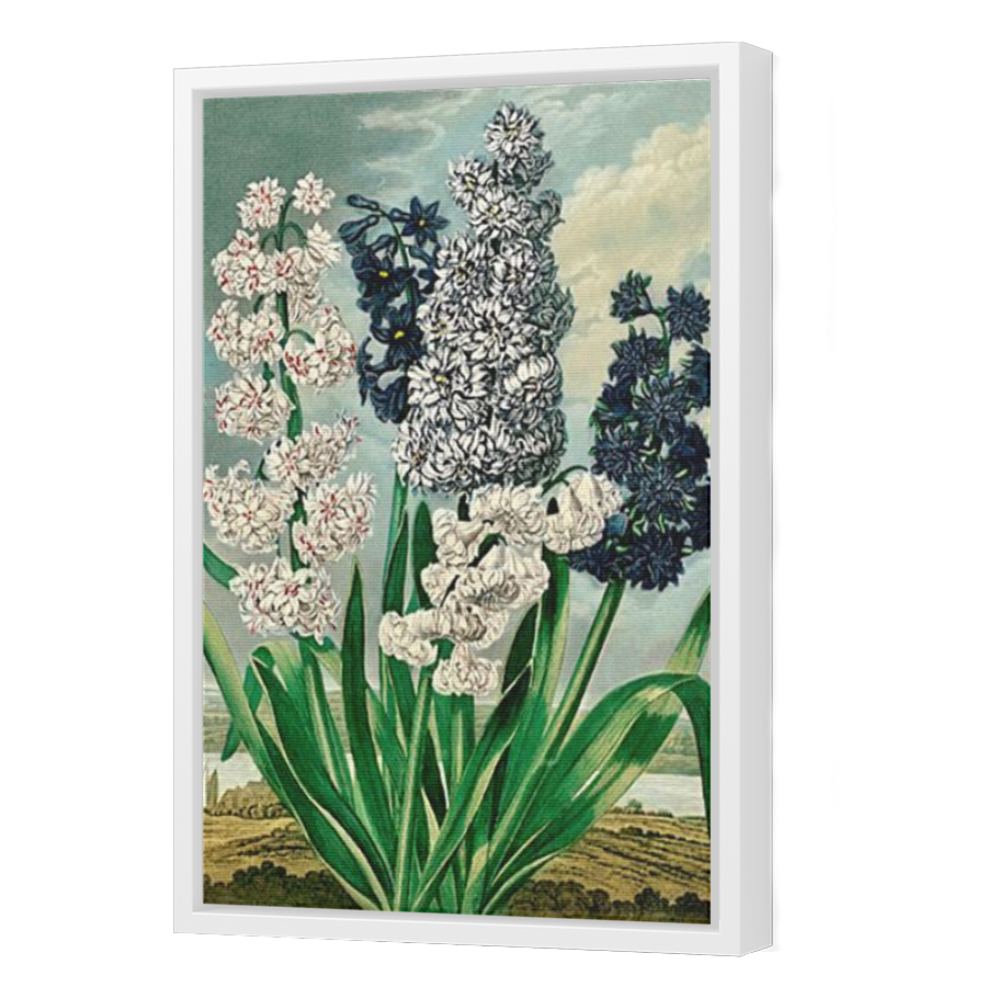 Thumbnail for Canvas - White Floating Frame
