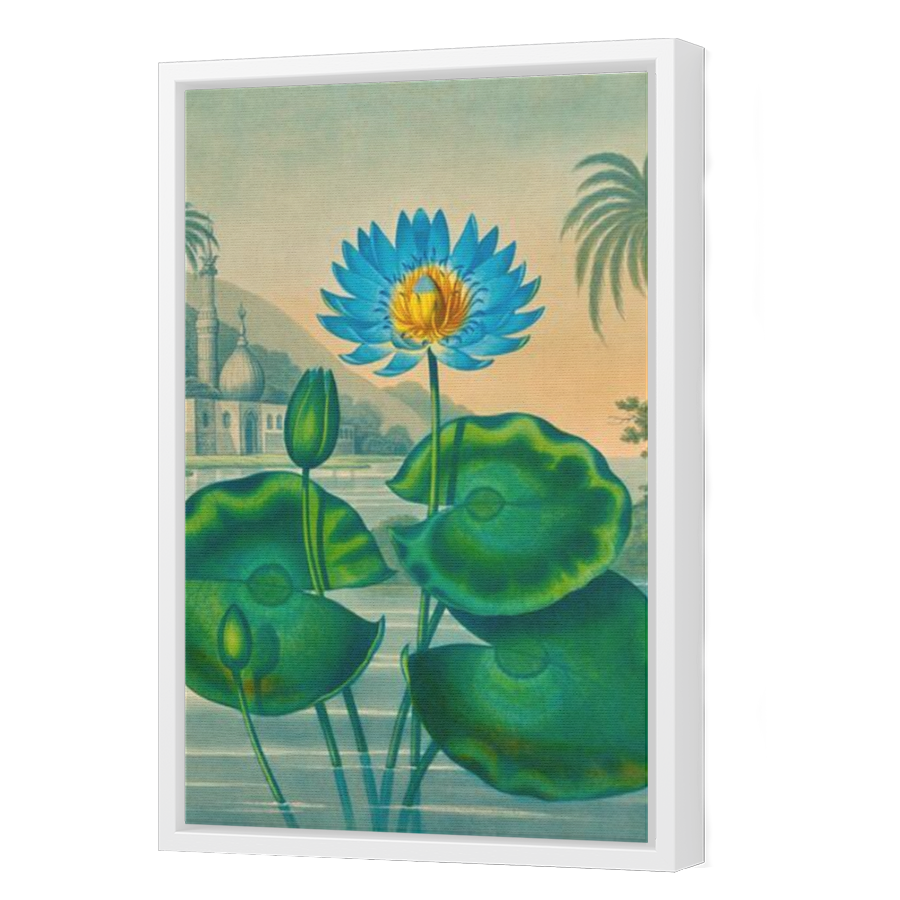 Thumbnail for Canvas - White Floating Frame