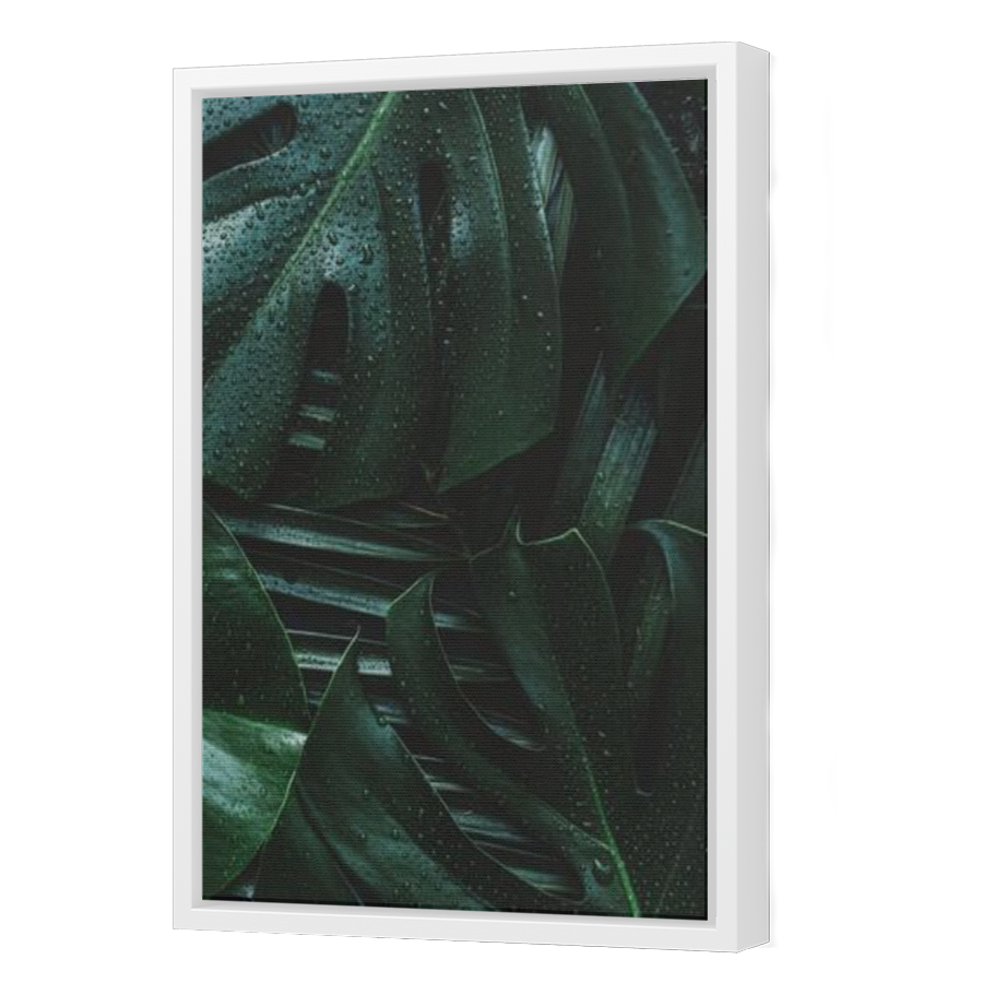 Thumbnail for Canvas - White Floating Frame
