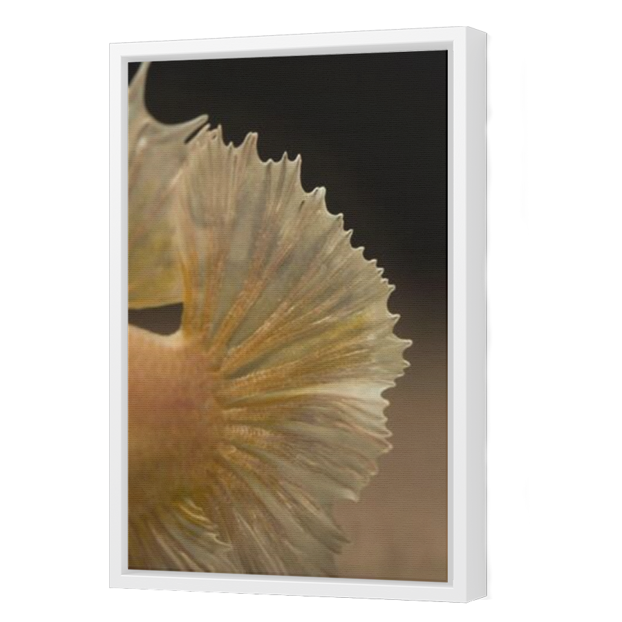 Thumbnail for Canvas - White Floating Frame
