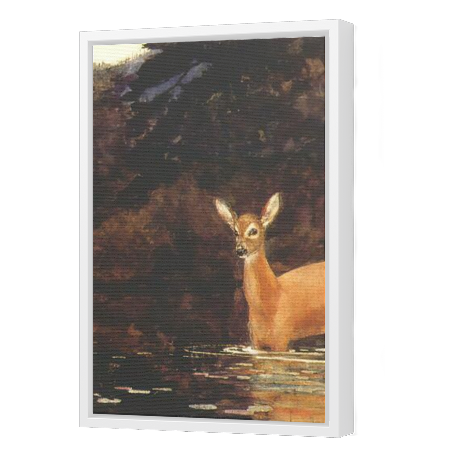 Thumbnail for Canvas - White Floating Frame