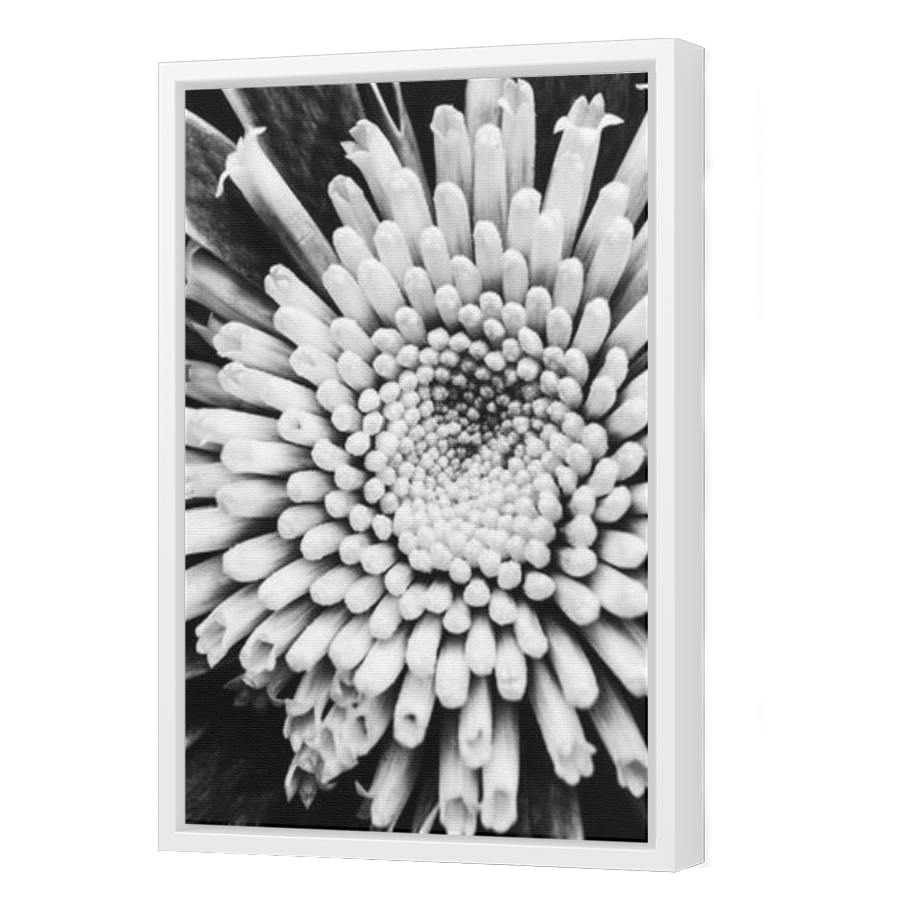 Thumbnail for Canvas - White Floating Frame