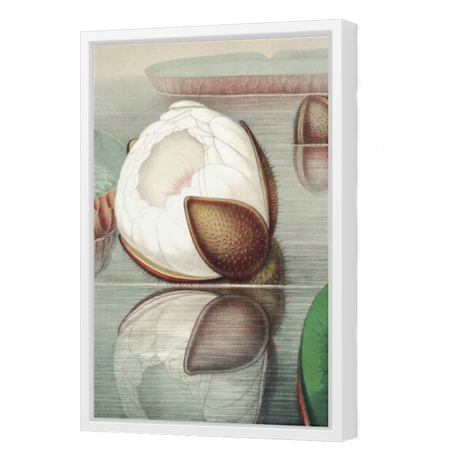 Thumbnail for Canvas - White Floating Frame