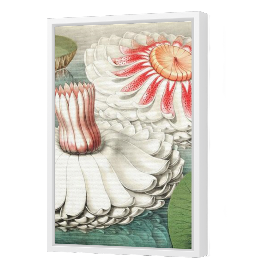 Thumbnail for Canvas - White Floating Frame