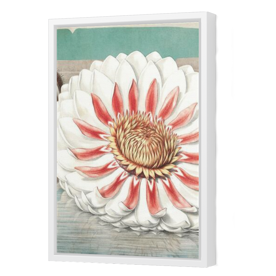 Thumbnail for Canvas - White Floating Frame