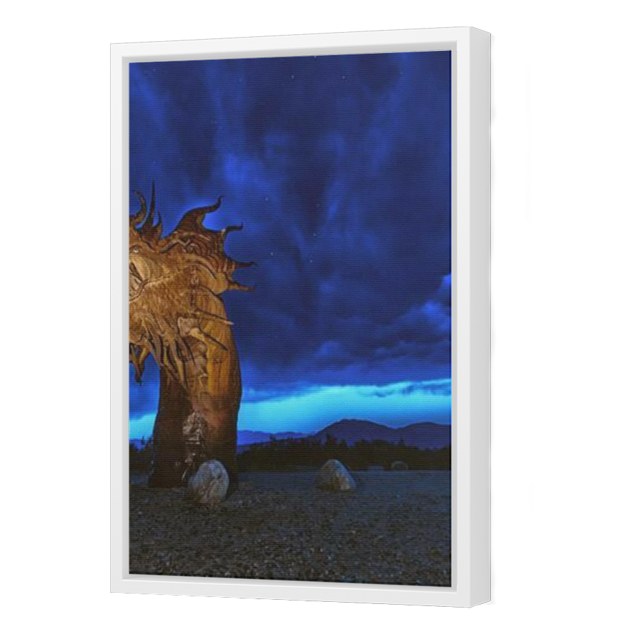 Thumbnail for Canvas - White Floating Frame
