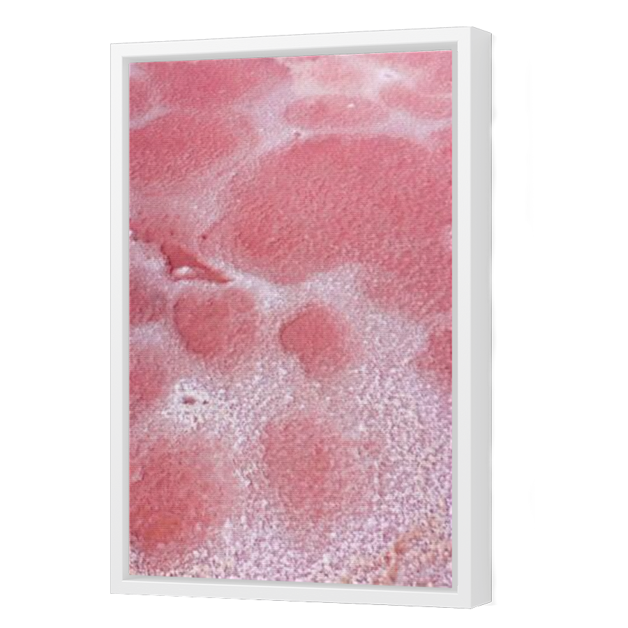 Thumbnail for Canvas - White Floating Frame