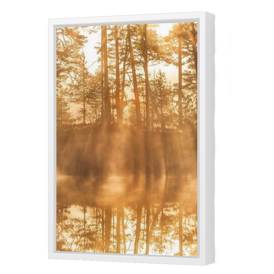 Thumbnail for Canvas - White Floating Frame
