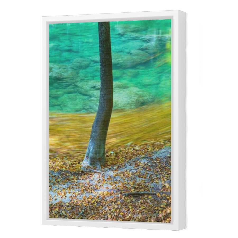 Thumbnail for Canvas - White Floating Frame