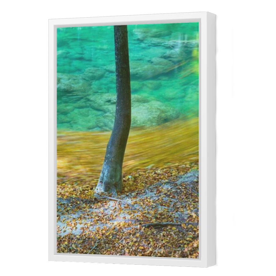 Thumbnail for Canvas - White Floating Frame