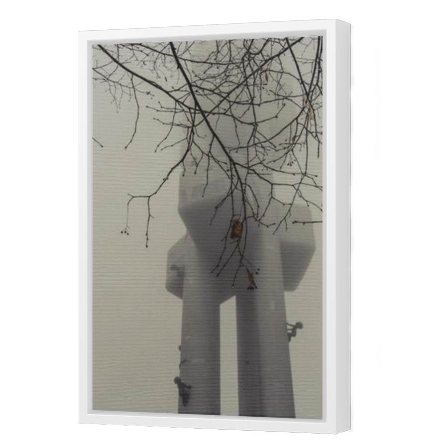 Thumbnail for Canvas - White Floating Frame