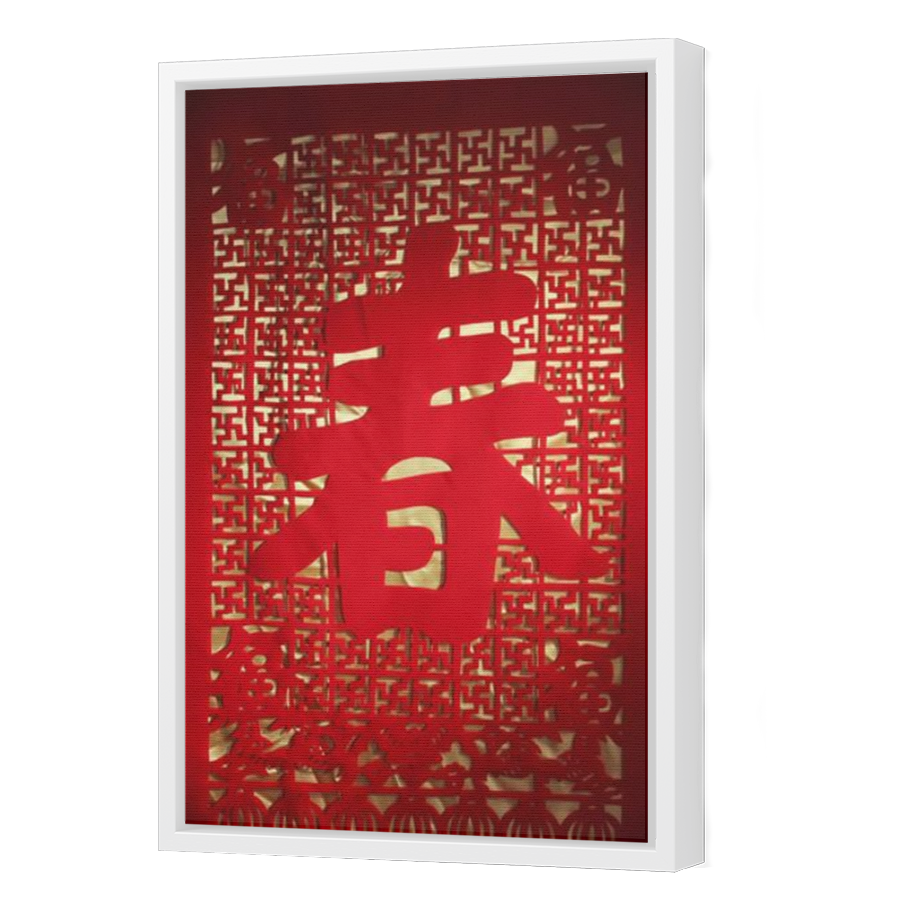 Thumbnail for Canvas - White Floating Frame