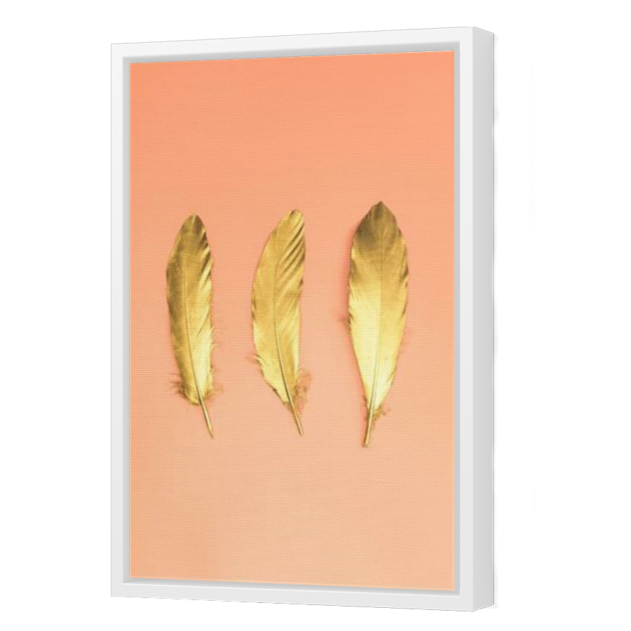 Thumbnail for Canvas - White Floating Frame