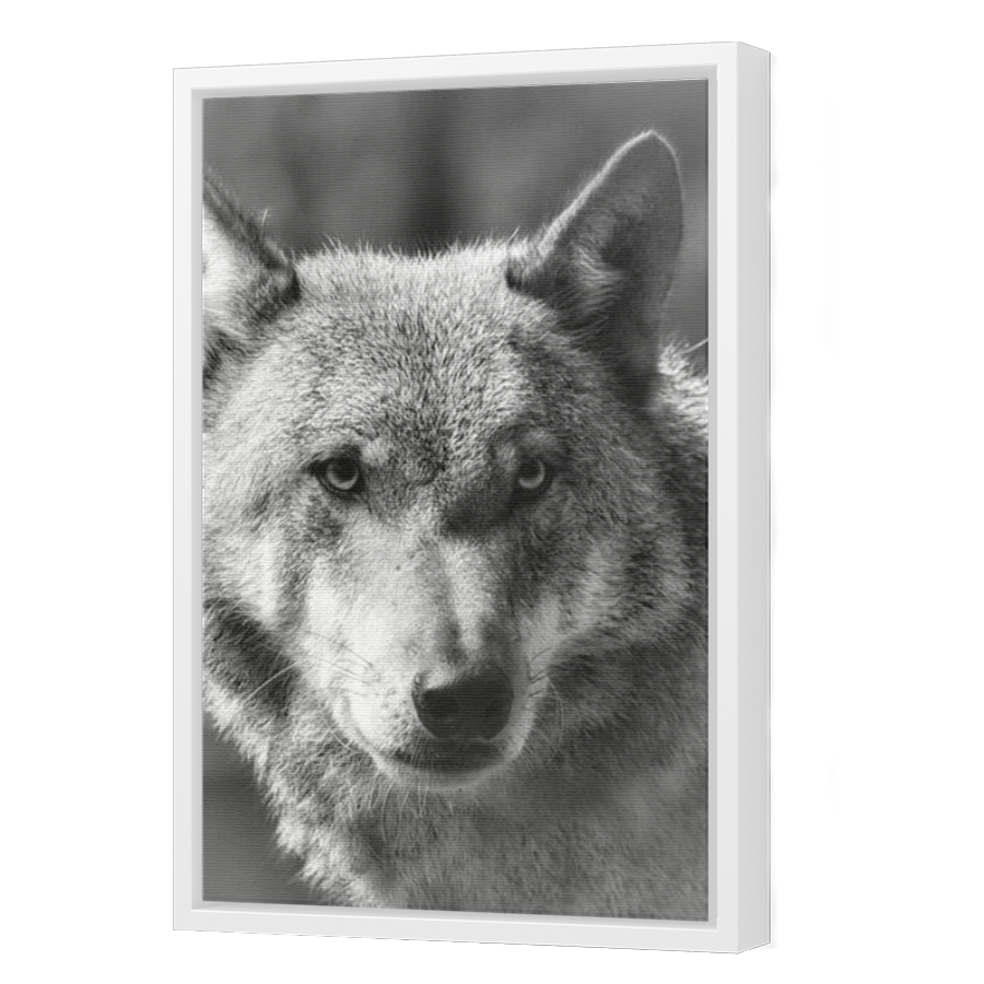 Thumbnail for Canvas - White Floating Frame
