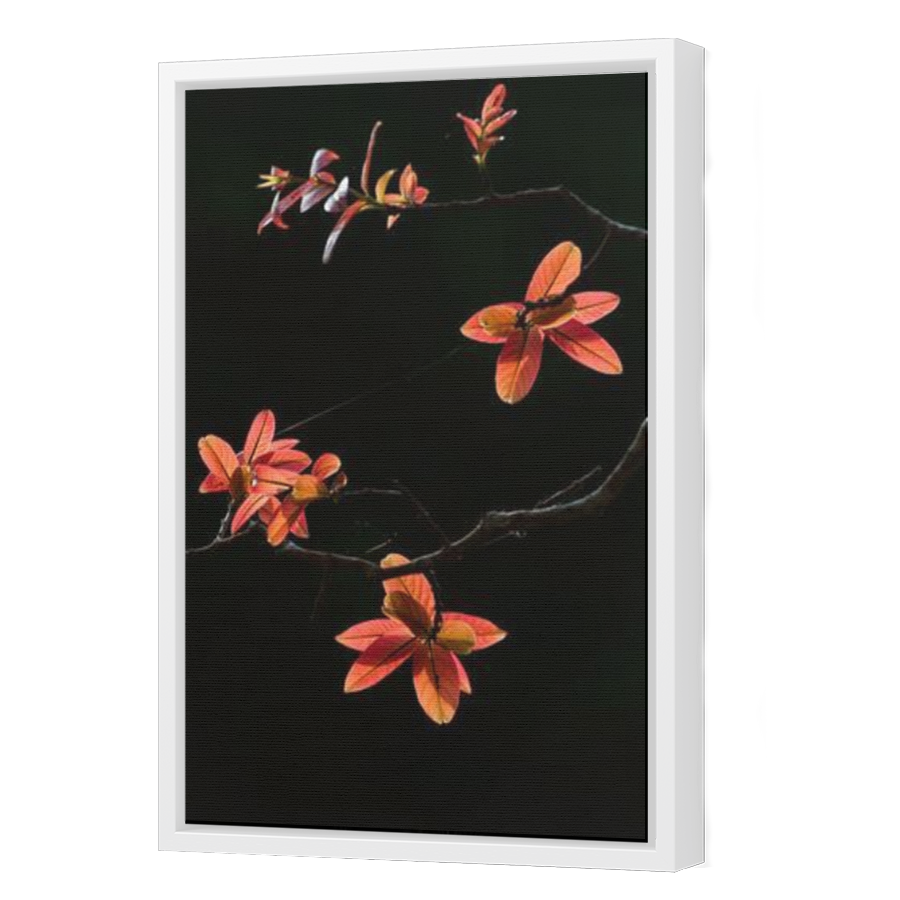 Thumbnail for Canvas - White Floating Frame