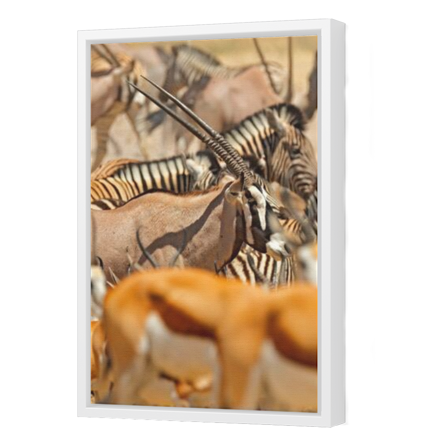 Thumbnail for Canvas - White Floating Frame