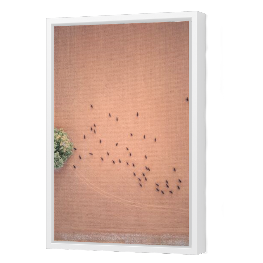 Thumbnail for Canvas - White Floating Frame