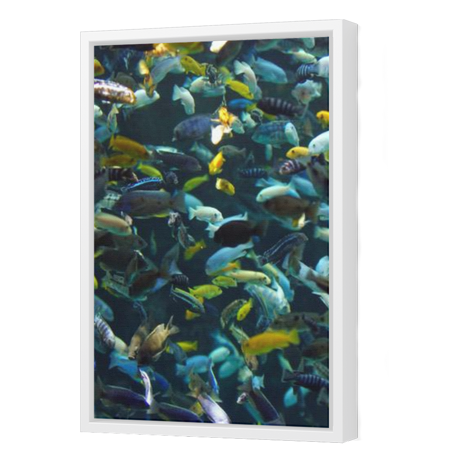 Thumbnail for Canvas - White Floating Frame