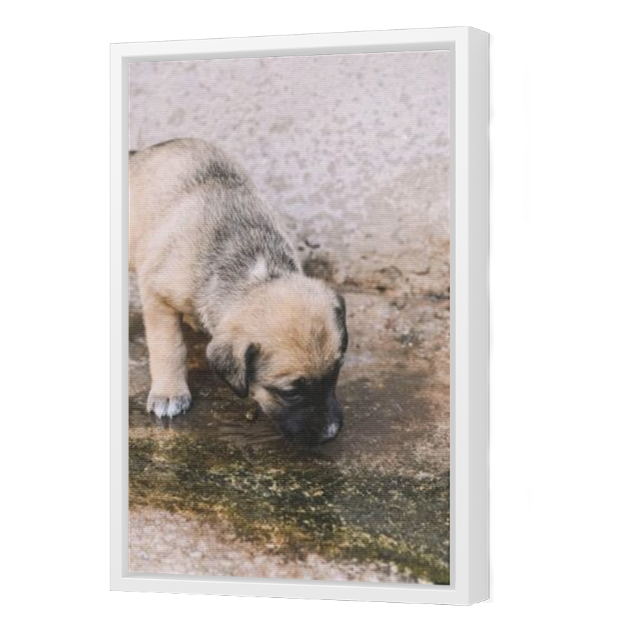 Thumbnail for Canvas - White Floating Frame