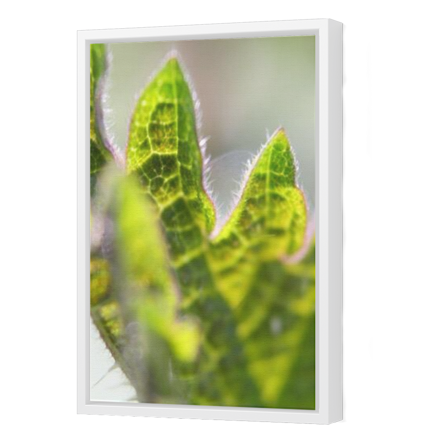 Thumbnail for Canvas - White Floating Frame