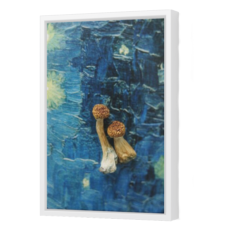 Thumbnail for Canvas - White Floating Frame