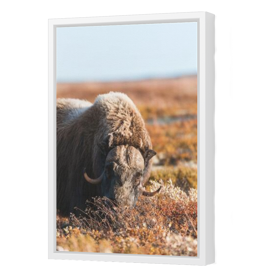 Thumbnail for Canvas - White Floating Frame