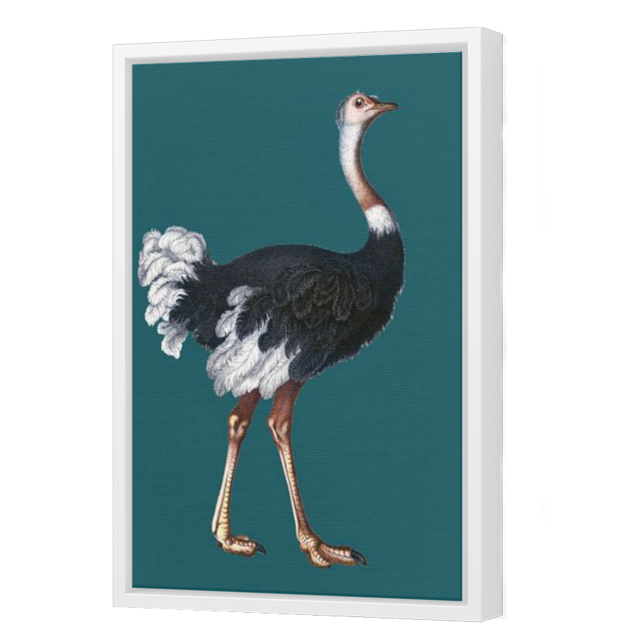 Thumbnail for Canvas - White Floating Frame