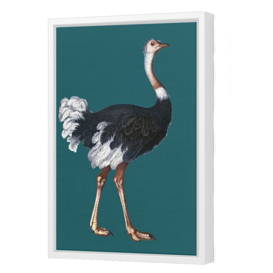 Thumbnail for Canvas - White Floating Frame