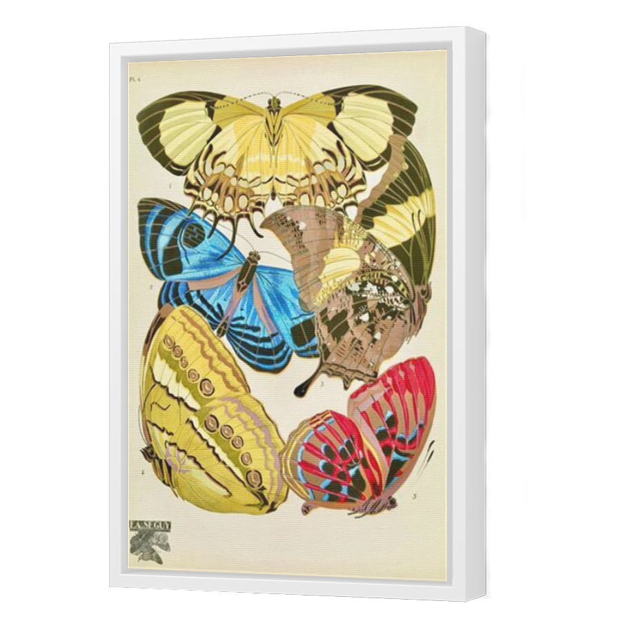 Thumbnail for Canvas - White Floating Frame