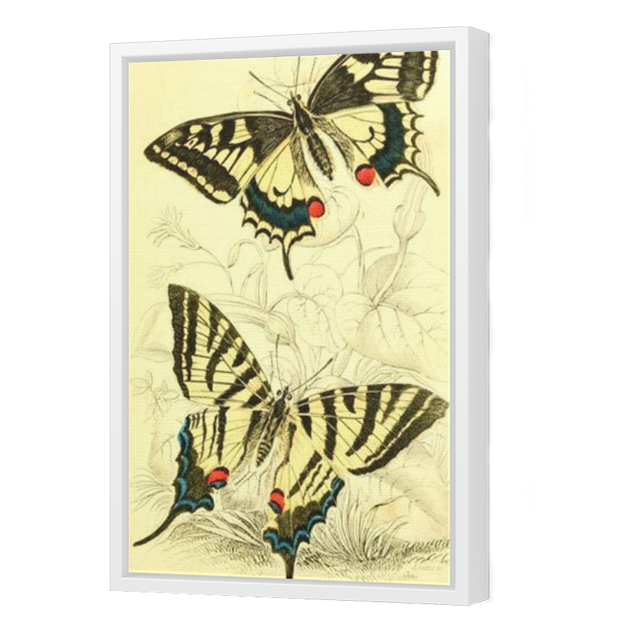 Thumbnail for Canvas - White Floating Frame