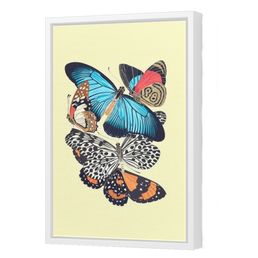 Thumbnail for Canvas - White Floating Frame